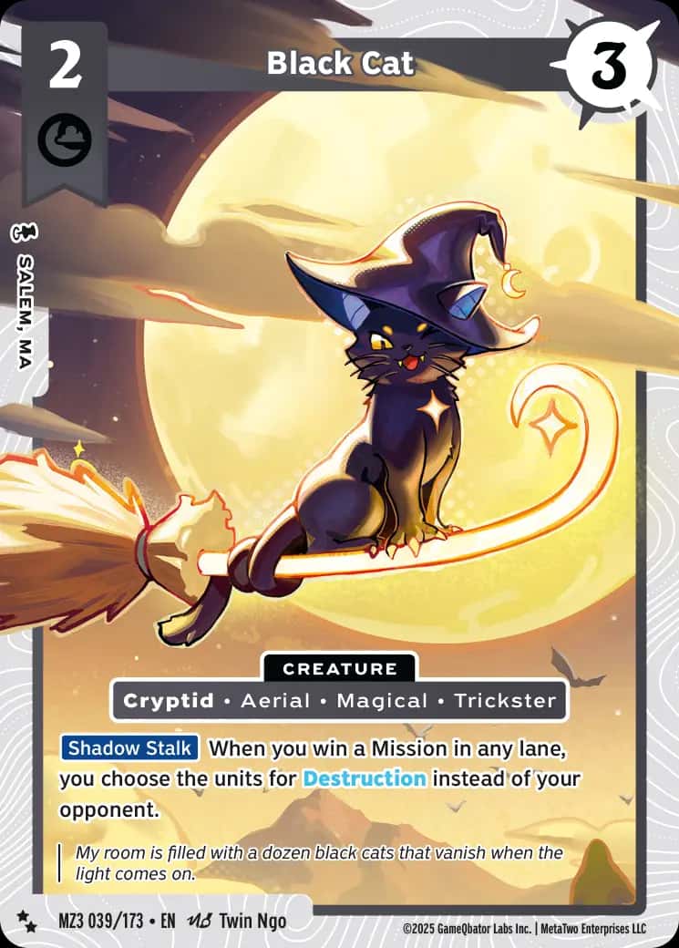 Black Cat