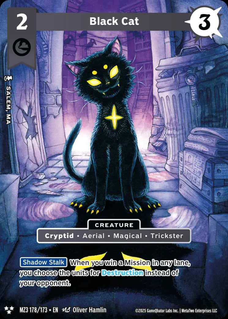 Black Cat