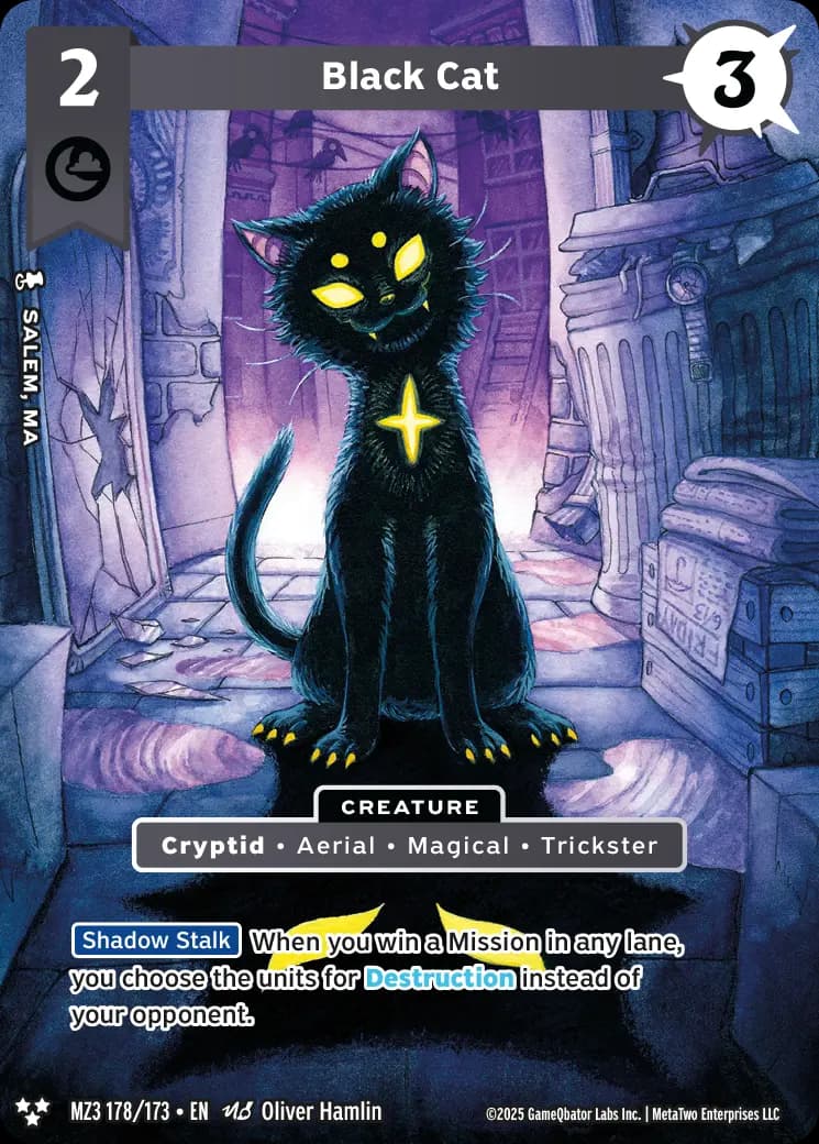 Black Cat